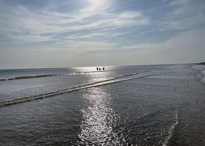 בית נופש Maison Cosy Pres Avec Jardin Et Parking - Fr-1-224c-332 סן ז'אן דה מון