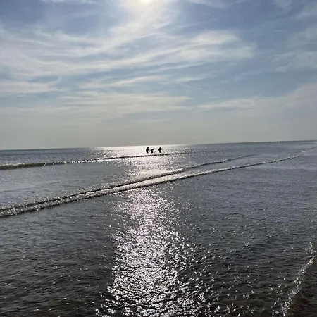 Holiday home Maison Cosy Pres Avec Jardin Et Parking - Fr-1-224c-332 Saint-Jean-de-Monts